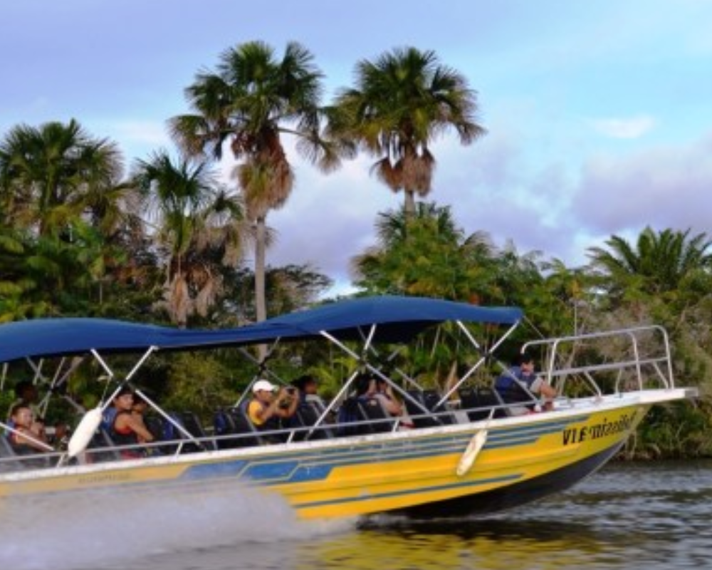 Design sem nome (1) Design sem nome (1)